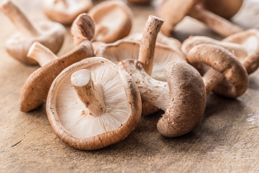 Ultimate guide to Shiitake: The Focus Mushroom